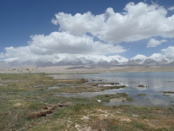 Karakul.png