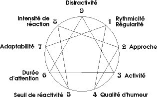 Enn&eacute;agramme des temp&eacute;raments